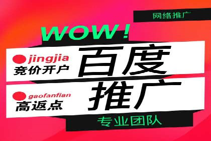 百度搜索推广案例集锦：实战技巧与策略解析